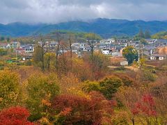 -四明山国家森林公园