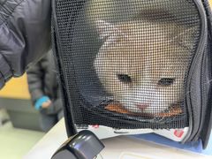 -瑞鹏宠物医院·宠保定点·心脏科·内科(御桥分院)