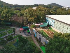 -上海佘山世茂艾美酒店