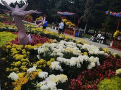-北陵公园