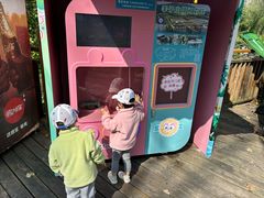 -合肥滨湖国家森林公园