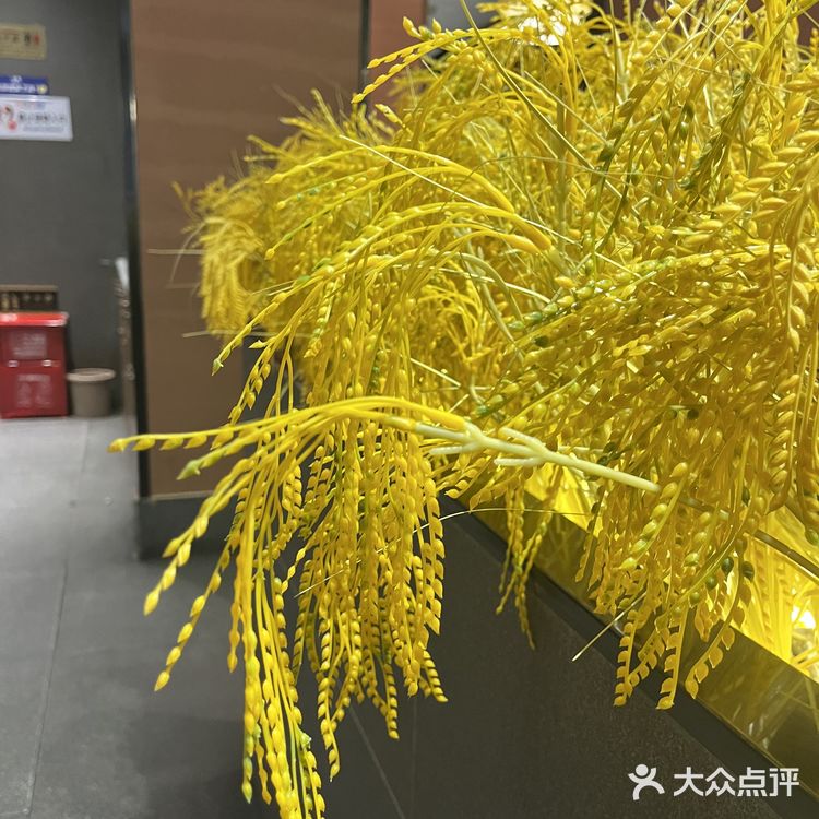 原来客家菜也可以做的很好吃
