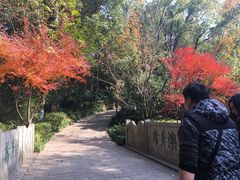 -杭州半山国家森林公园