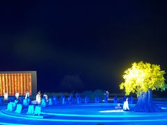 -鼎盛王朝康熙大典实景演出