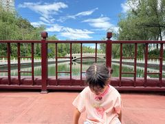 -皇家御河游(紫御湾码头)
