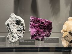 -墨尔本博物馆(Melbourne Museum)