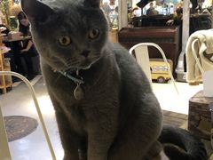 -小时光咖啡馆(开森度假森林店)