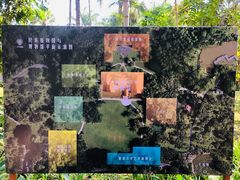 -中国科学院西双版纳热带植物园