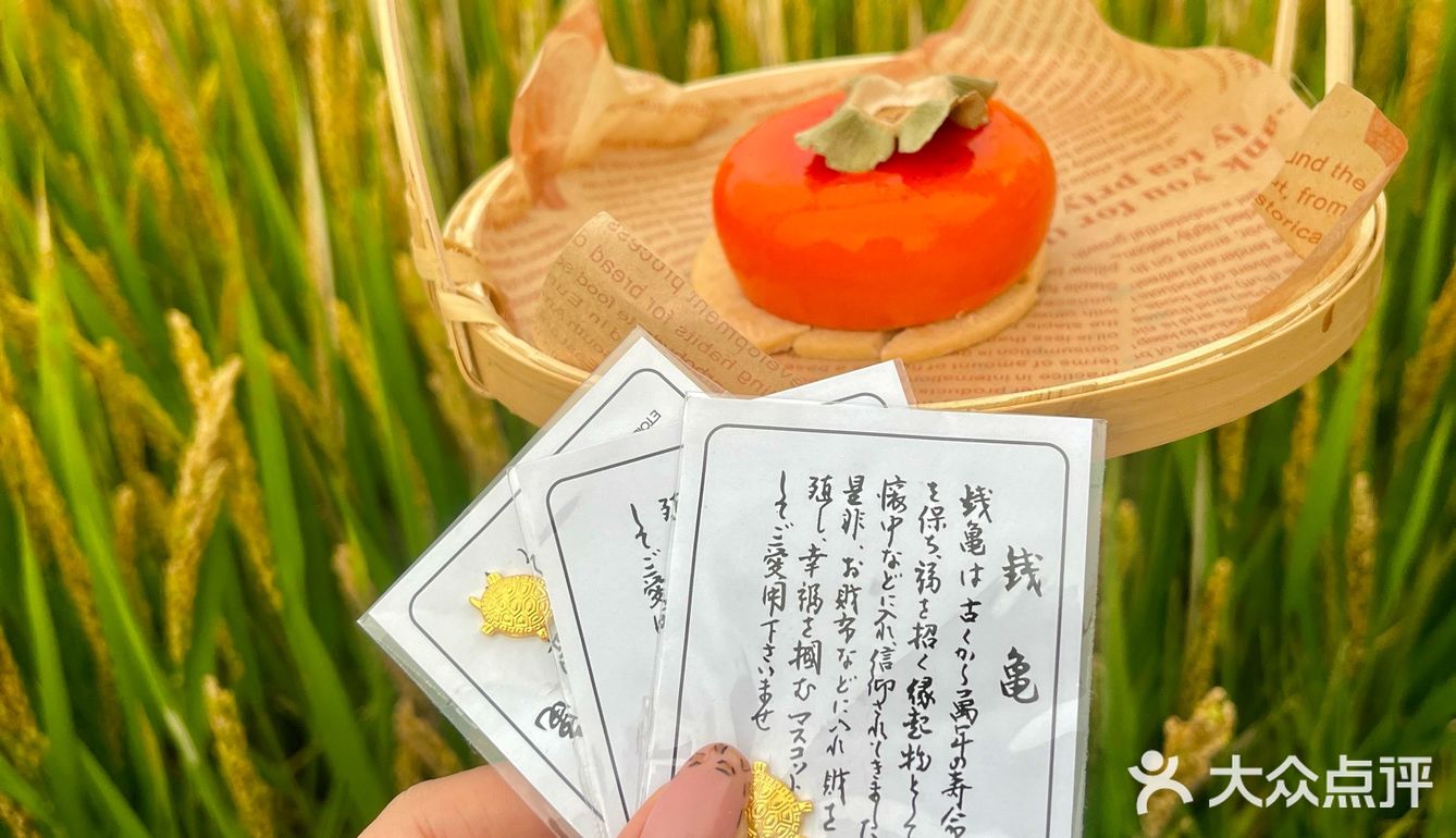 属于宁波秋天独有的浪漫！！！