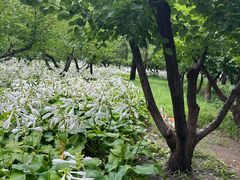 -长辛店二七公园