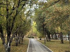 -元大都城垣遗址公园