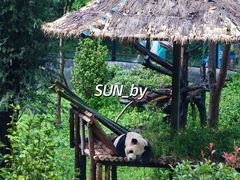 -云南野生动物园