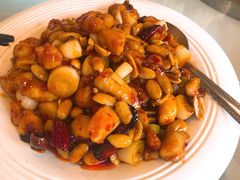 披萨宫保鸡丁-大鸭梨烤鸭(石佛营店)