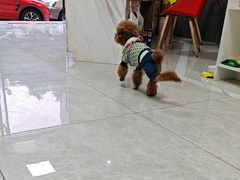 -瑞鹏瑞爱宠物医院·全科·猫科·血液透析中心(龙头寺店)