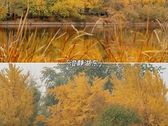 -国家植物园