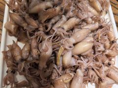 -美华大炒鸽子店