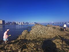 -黑石礁公园