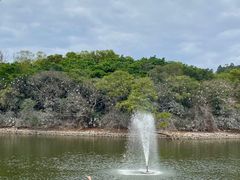 -广州莲花山旅游区
