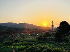 -黄陂区野村谷景区