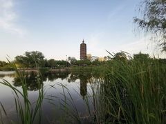 -西海子公园