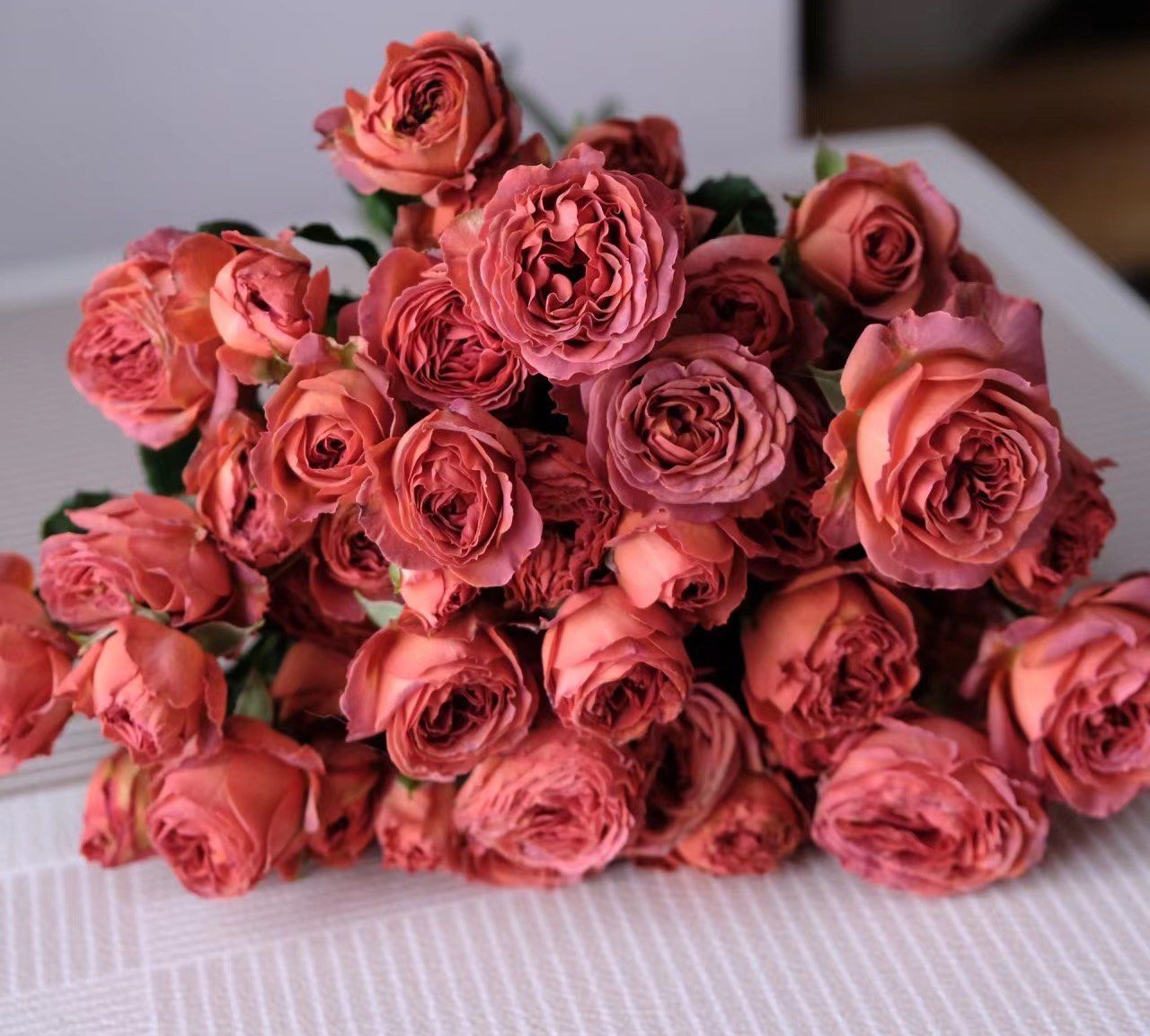 今日识花:迪瑞特多头玫瑰 朱古力