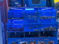 -胖子烧烤海鲜(亲贤北街店)