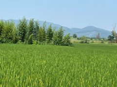 -良渚古城遗址公园