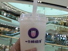 -一只酸奶牛(汕头金平万达广场店)