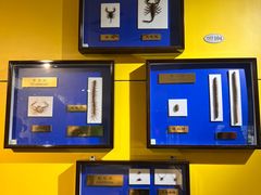 -上海昆虫博物馆