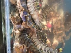 -宾朋海鲜特色美食餐厅·纯手工鲅鱼水饺(兴海路店)