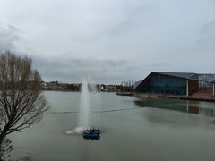 -上海长兴岛郊野公园