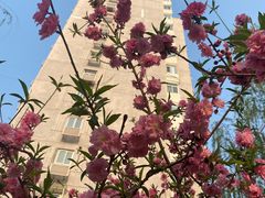 -元大都城垣遗址公园