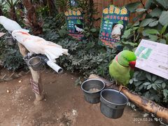 -南宫五洲植物乐园