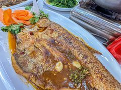 -丹水桥地锅鱼·翘嘴鲌·地方特色全鱼宴(丹江口大坝店)