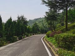 -游子山休闲旅游区