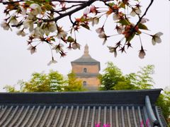 -大慈恩寺(大雁塔)