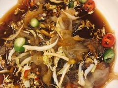 菜心拌海蜇-双海酒店·海鲜家常菜(南戴河店)