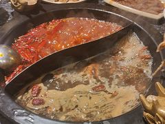 -蜀大侠火锅(建设路第五大道店)