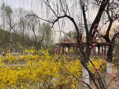 -南翠屏公园