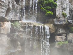 -东莞植物园