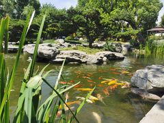 -扬州瘦西湖温泉
