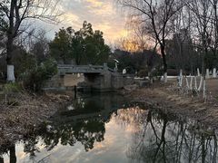-武汉园博园(武汉自然博物馆)