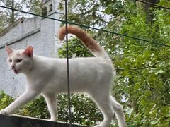 -安福路