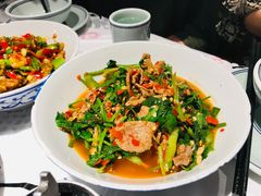 香菜炒牛肉-壹盏灯(蚂蚁工房店)