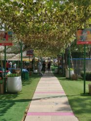 -萌宠亲子动物乐园(槐房万达店)