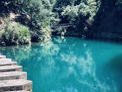 -大奇山国家森林公园