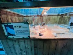 -大连圣亚海洋世界