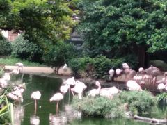 -九龙公园