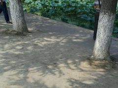 -华雅花园大酒店