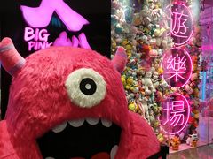-BIG PINK大粉娃娃机主题馆(圆融星座店)